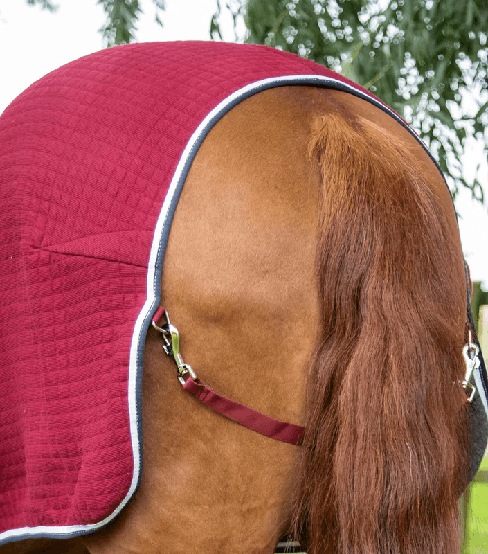 Premier Equine Premtex Coolerdekken