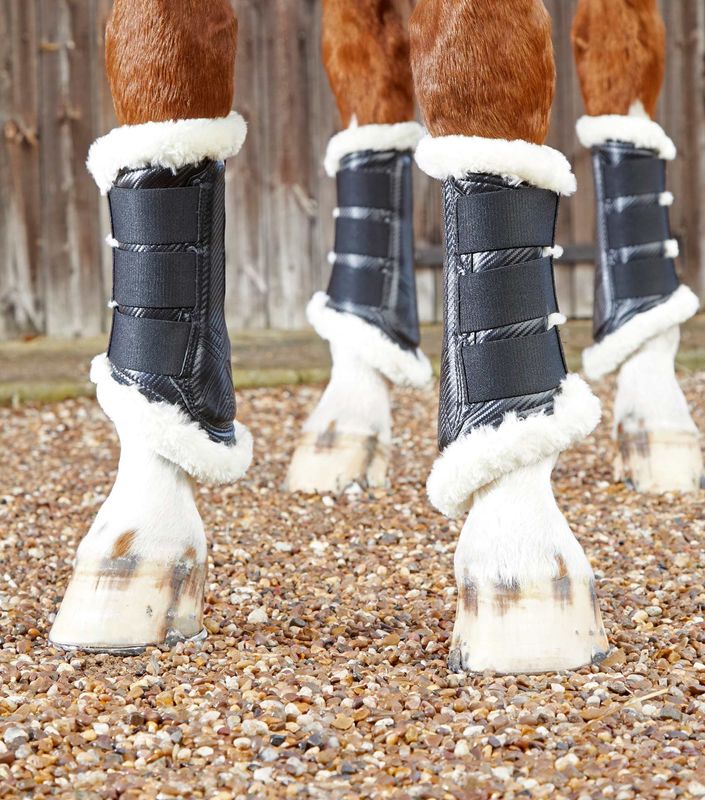 Premie Equine Senebelegg Med Teddyfór