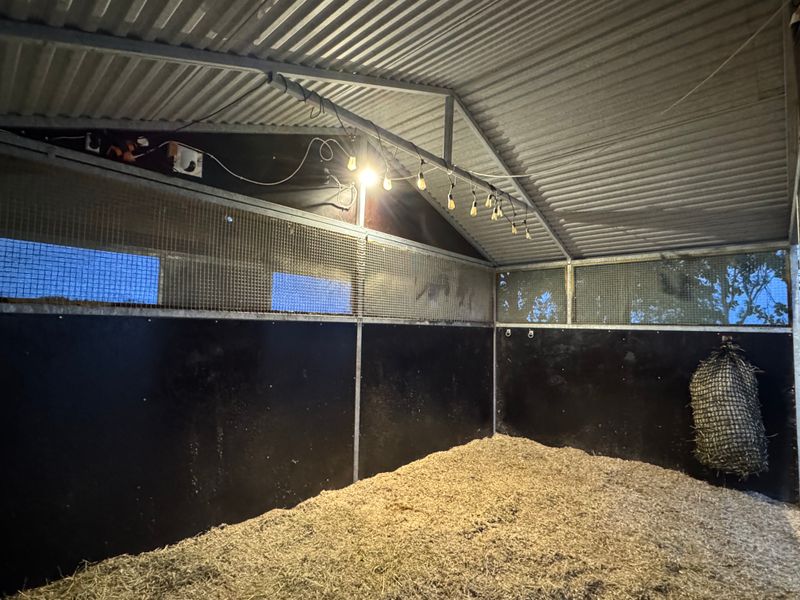 Leskur, liggehall, løsdrift til hest (Contryhus)