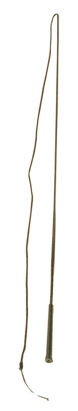 Wahlsten Longeringspisk