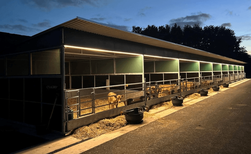 Leskur, liggehall, løsdrift til hest (Contryhus)