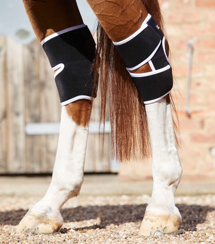 Premier Equine Magnetbelegg Til Haser